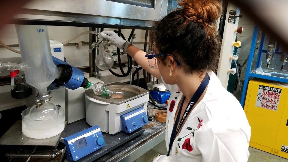 Female scholar in lab